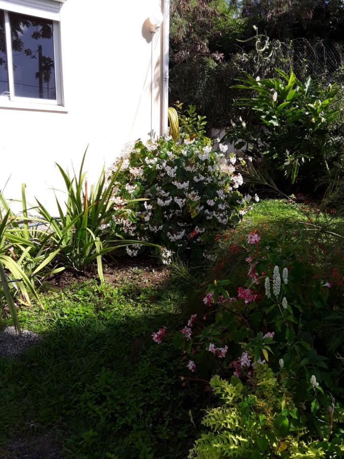 La Siguine Villa Gourbeyre Ngoại thất bức ảnh