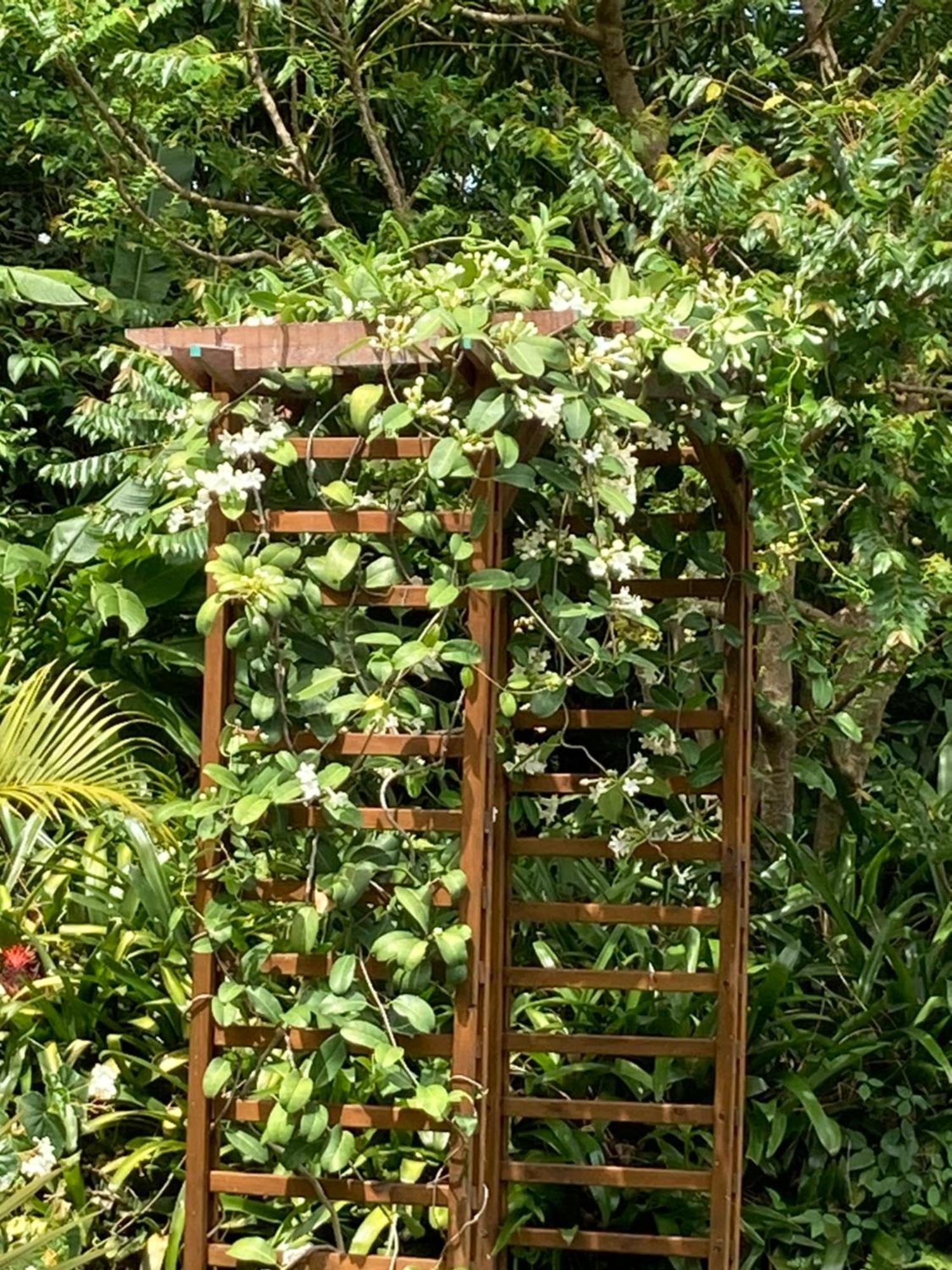 La Siguine Villa Gourbeyre Ngoại thất bức ảnh