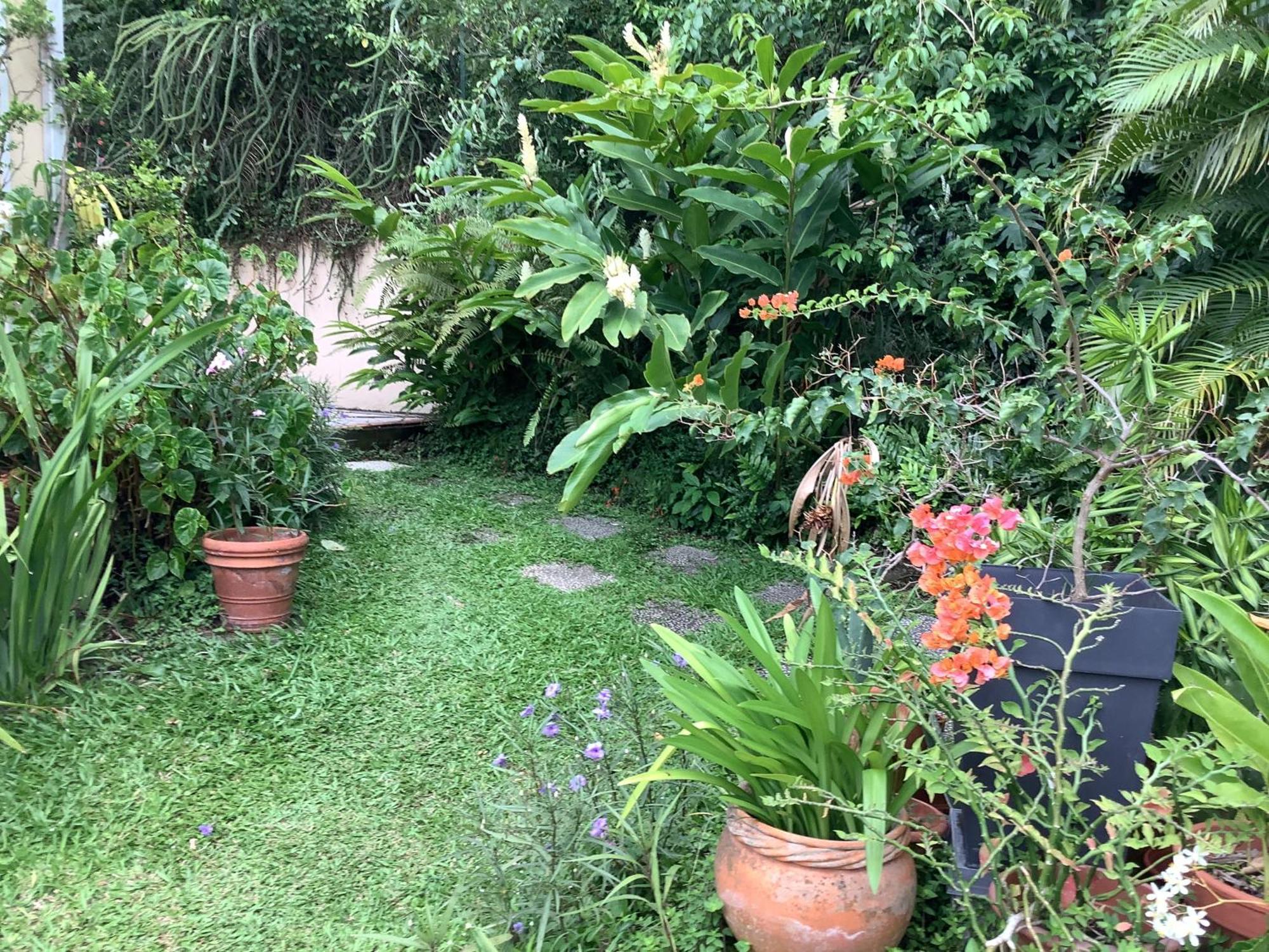 La Siguine Villa Gourbeyre Ngoại thất bức ảnh